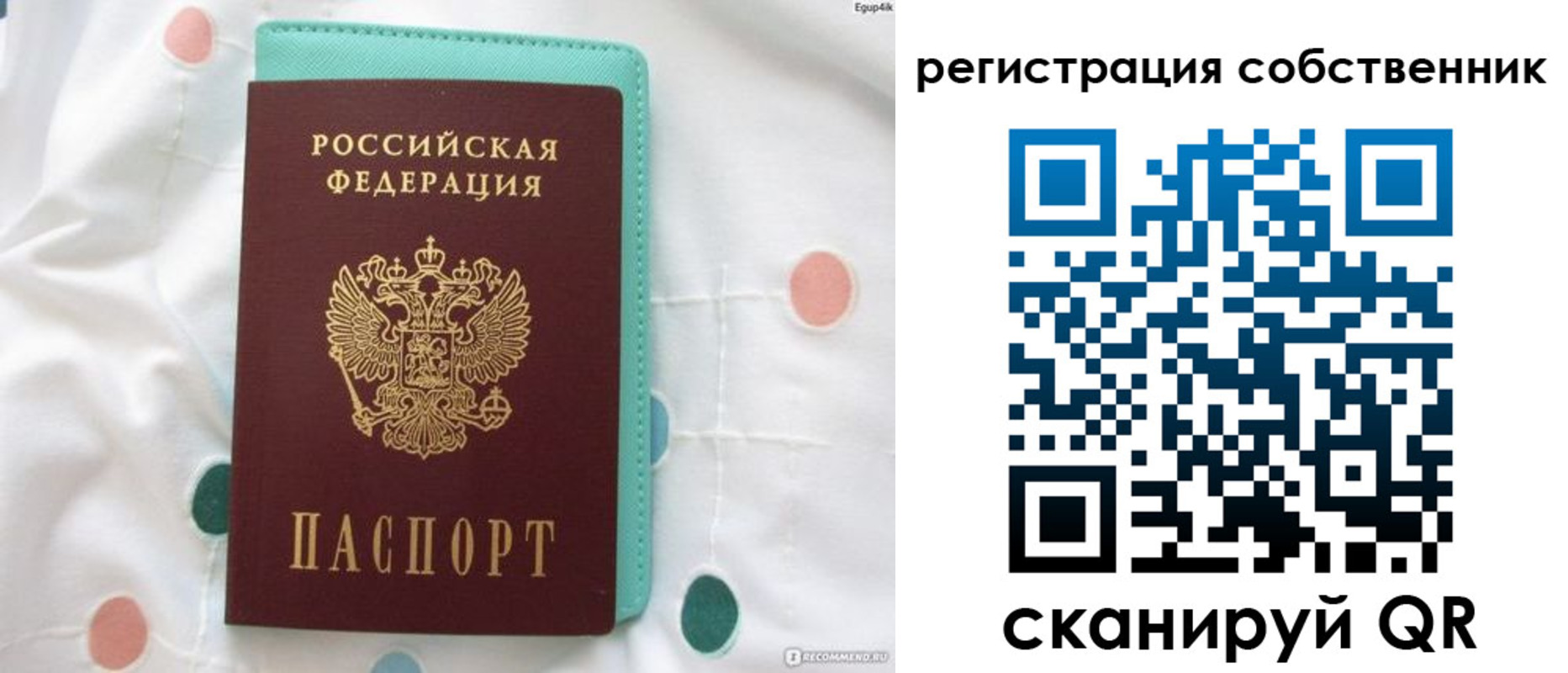 прописка для школы в Чистополье